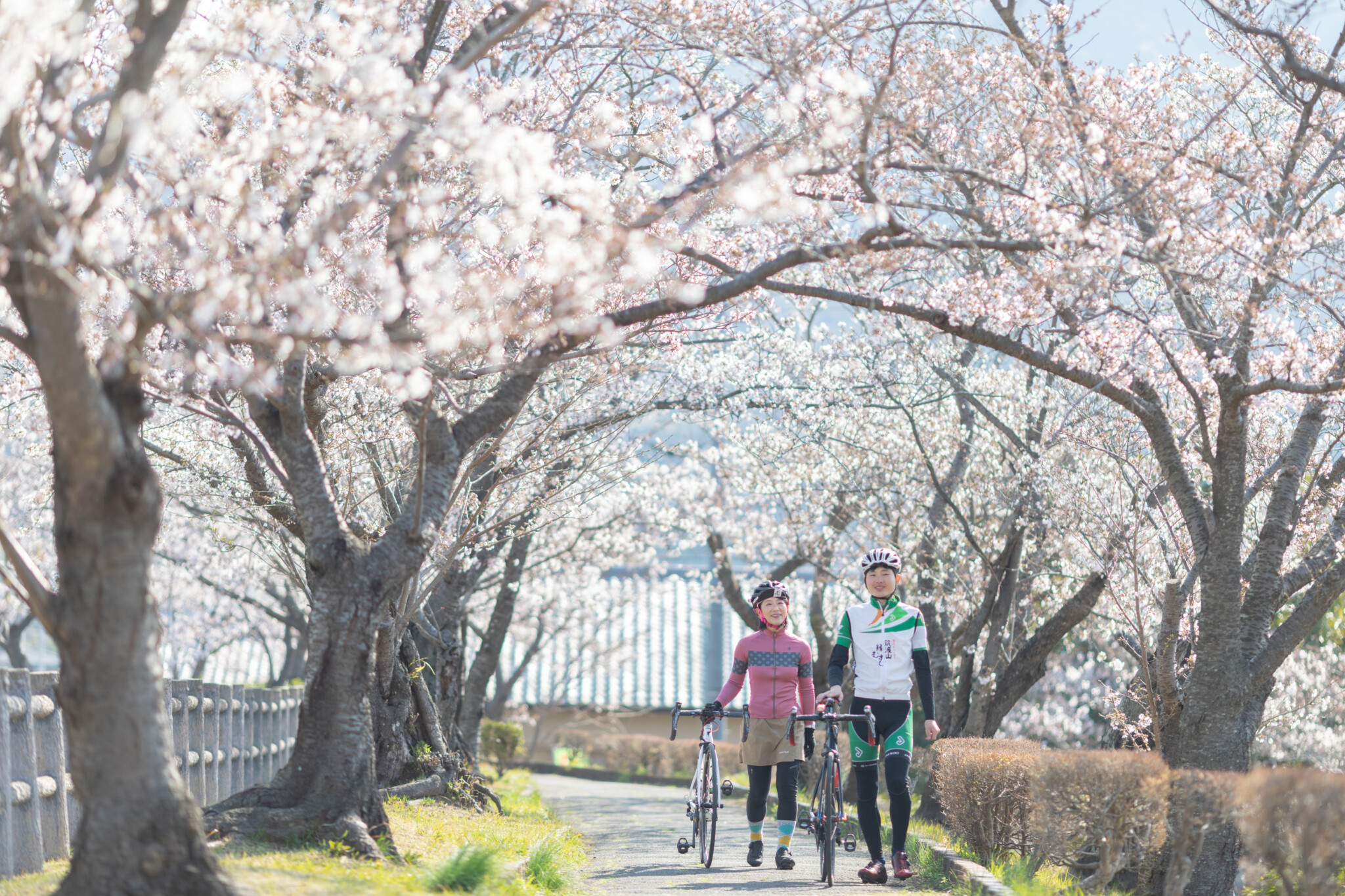 つくば霞ヶ浦りんりんロード周辺の桜スポット つくば霞ヶ浦りんりんロード